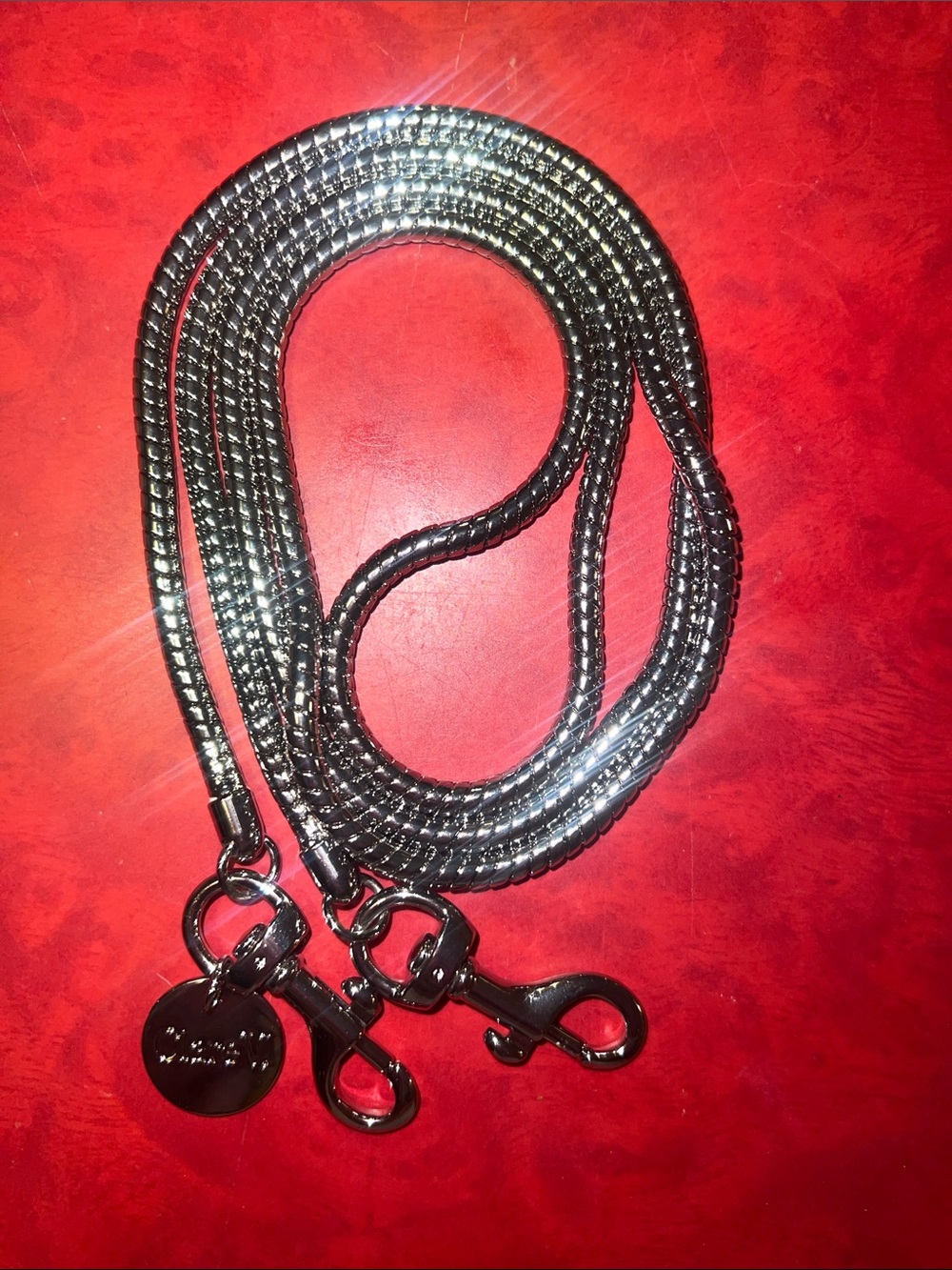 Clare V Shiny Silver Snake Chain Crossbody Strap